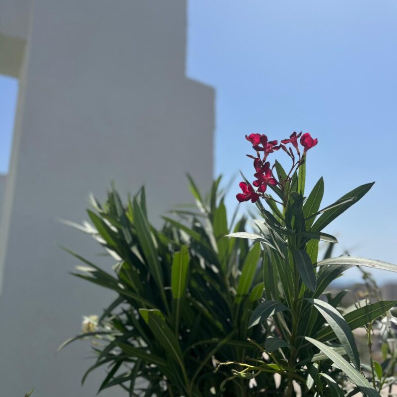 EasyLab WP ACF Components