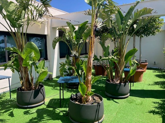 EasyLab WP ACF Components